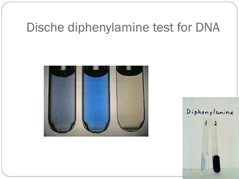 dische test
